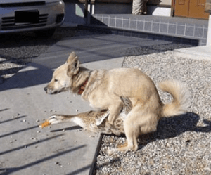 Image Source: no clue