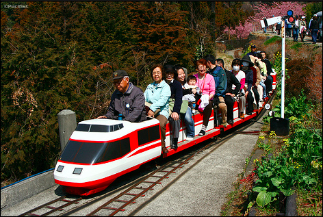 Like the Acela, but cooler.