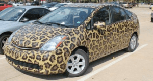 Image Source: www.chrisescars.com