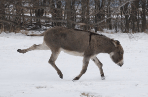 Yoga Girl in class, being graceful.