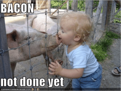 Image Source: icanhascheezburger.com