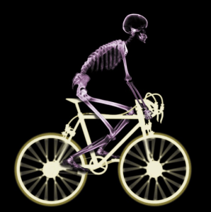 Image Source: http://www.jointaction.org.uk/media/Joint%20Action%20Media/News%20Pictures/X-Ray%20Bike%20Rider%20(colour)%20(smaller).JPG