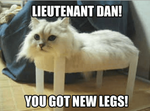 This has NOTHING to do with this post, but absolutely slayed me.