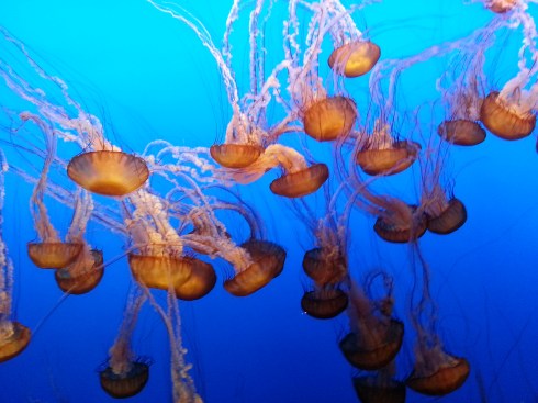 Image Source: Alan 2013