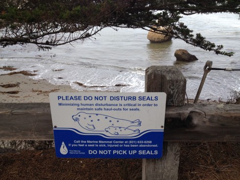 Finders, keepers. If I find a seal I'm going to burp it like a baby.