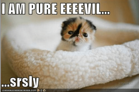 Image Source: Icanhascheezburger.com