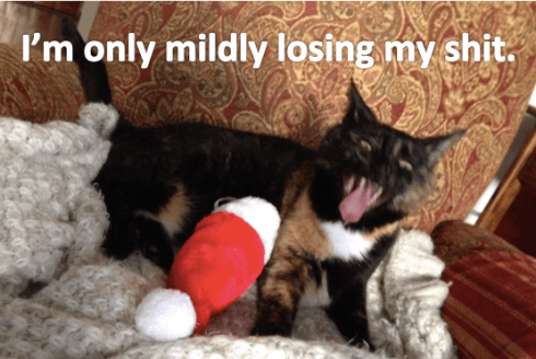 Image Source: 2014 Pithypants