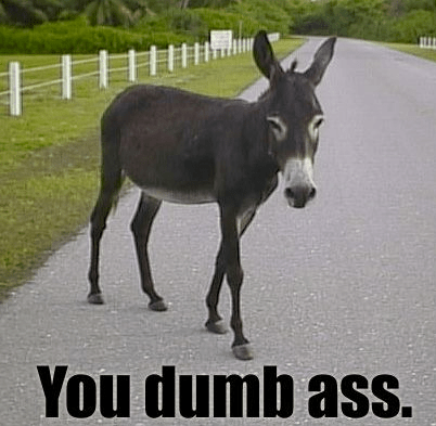 Image Source: http://images.elephantjournal.com/wp-content/uploads/2010/12/Screen-shot-2010-12-14-at-10.42.34-PM-500x346.png