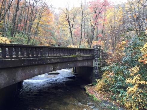 Pisgah Forest - Near Asheville