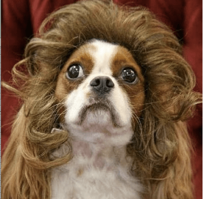 Screen Shot 2016-01-18 at 7.21.15 AM